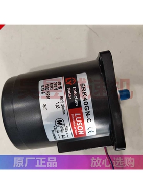 M425-402 4GN30K 5RK40GN-C 输送传送机马达 LUSON升降机调速电机
