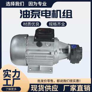 齿轮油泵电机组370/550W配CBB2.5/4/6/10油泵组配齿轮油泵