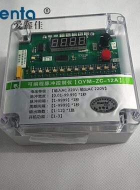Q可编程24V控制脉冲控制仪-Z  1010-C路脉冲控制器除尘器Y仪MD