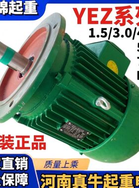 47.5M真电机.5KZ113/起重2.锥形//河南/5/12223.0YW5牛//ES转子.L
