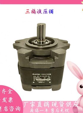 海特克HYTEK齿轮泵HG1-63-01R-VPC HG1-25/32/40/50-01R-VPC-36/G