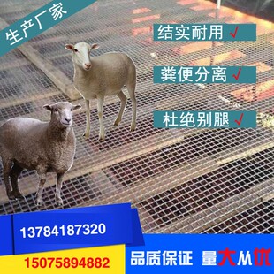 羊床漏粪板 方眼羊床钢丝网 钢网羊床养殖场漏粪网 鸡鸭鹅底网