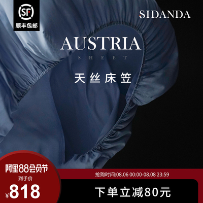 SIDANDA100支天丝床t笠单件防滑固定床单床罩席梦思保护罩床套丝