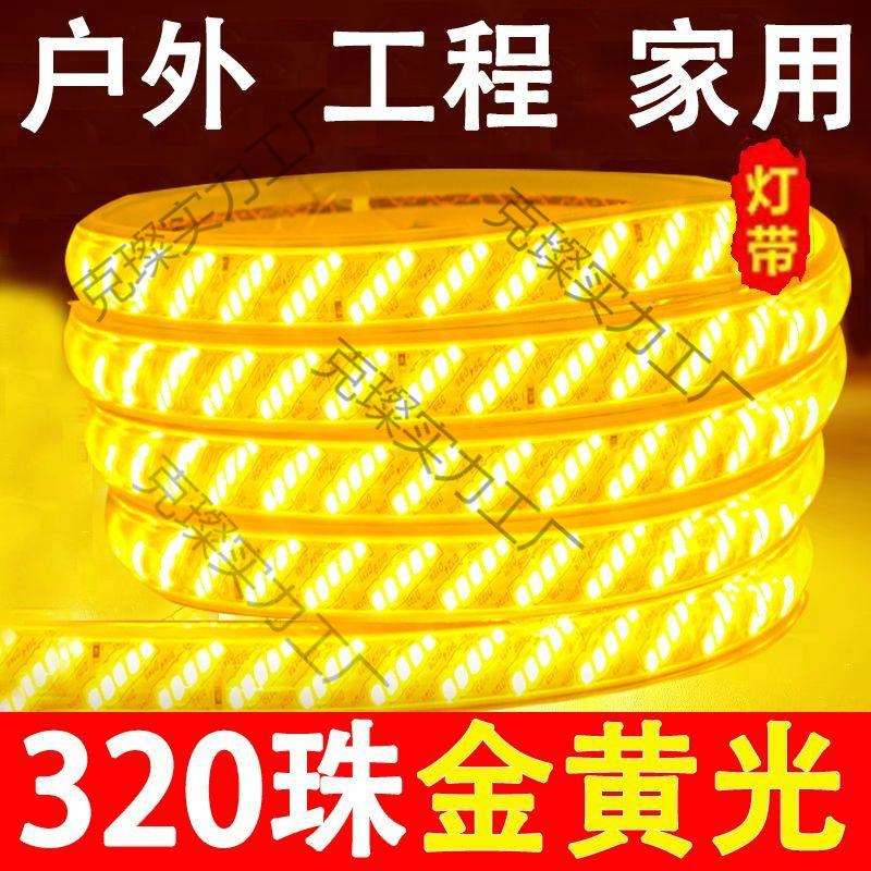 220v户外灯带led超亮防水客厅屋檐外墙专用灯条工程室外暖光暖色