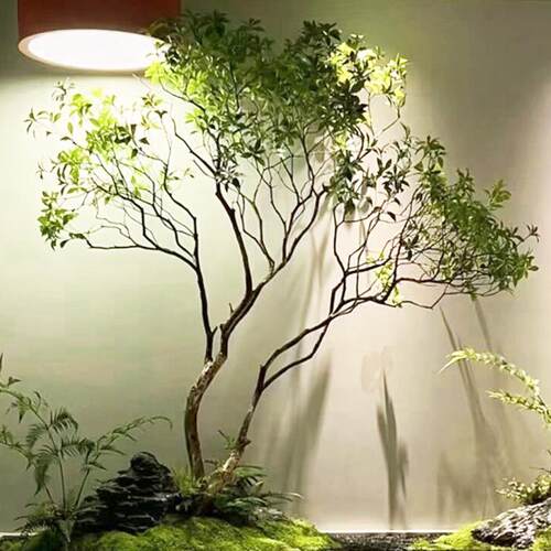 马醉木仿真绿植造景假植物装饰室内大型落地景观仿真树橱窗装饰树