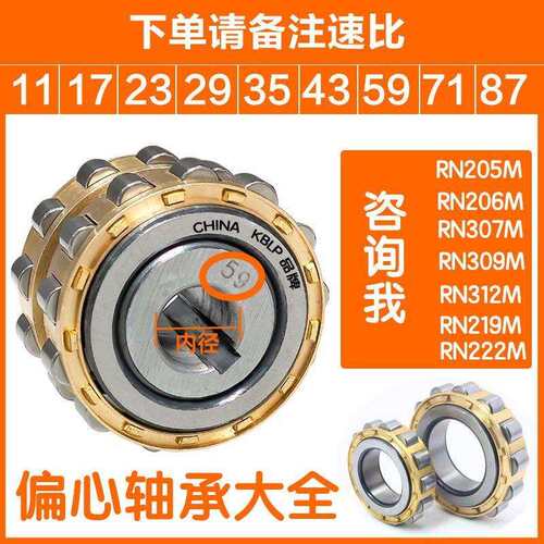 摆线针减速机偏心轴承 RN205 rn206 RN307 RN309 RN312 M 502205