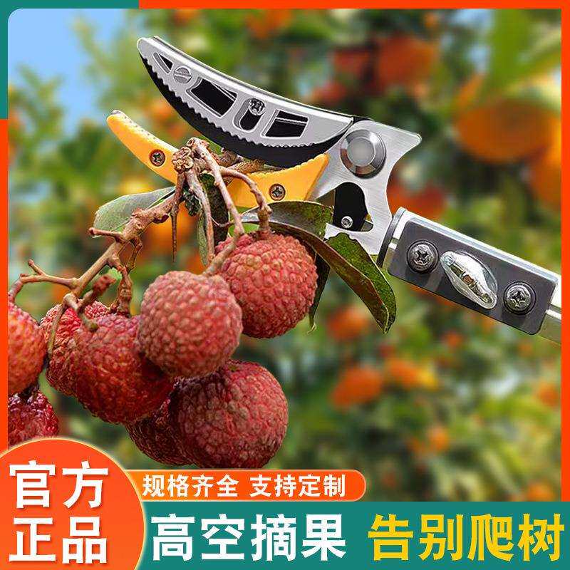 多功能伸缩杆高空摘果剪摘果神器采摘枇杷荔枝龙眼柿子高空修枝剪