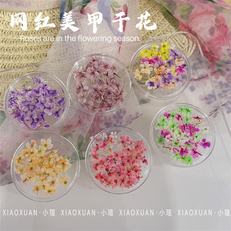 小瑄日系春日花园油画系列手工美甲干花混合整朵指甲装饰品迷你图片