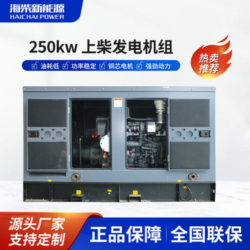 海柴250KW上柴配爱尔玛（静音箱）柴油发电机组380V大功率环保防