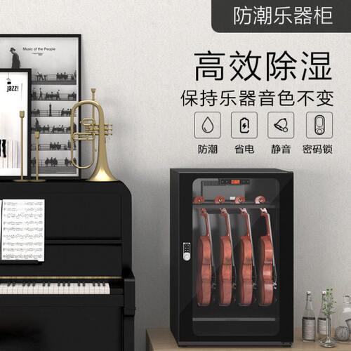 LENTHEM领顿带密码锁干燥箱防潮乐器柜229 加厚钢制小提琴除湿柜