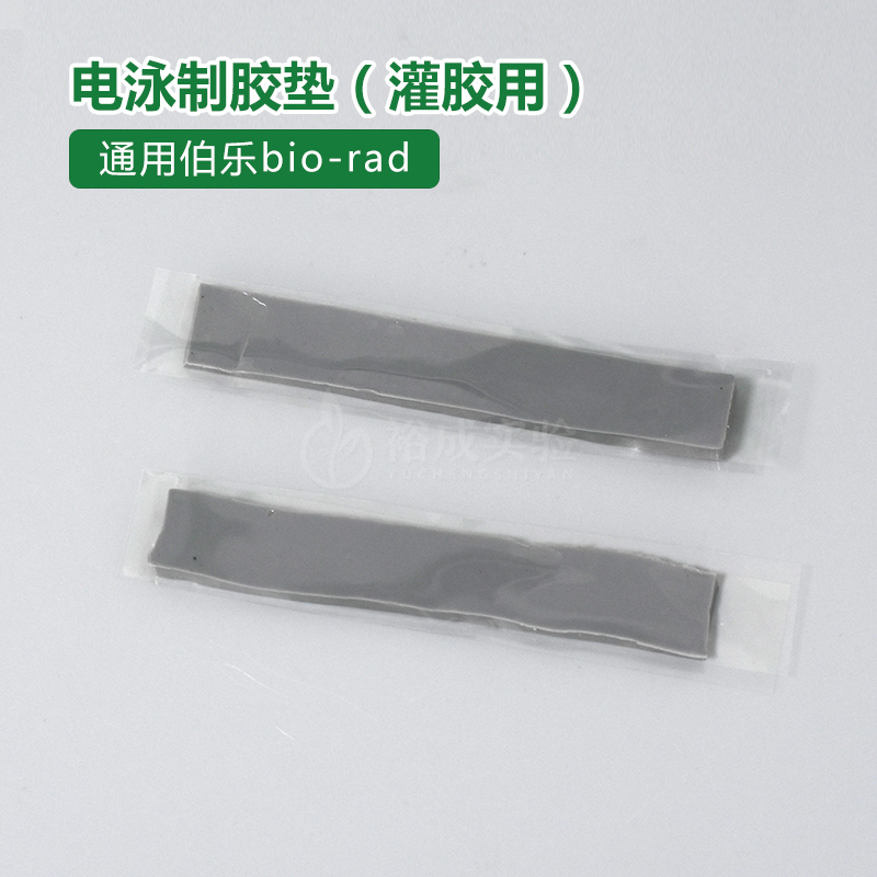 伯乐bio-rad 电泳仪匹配电泳灌胶用密封H条制胶封条制胶垫 165330