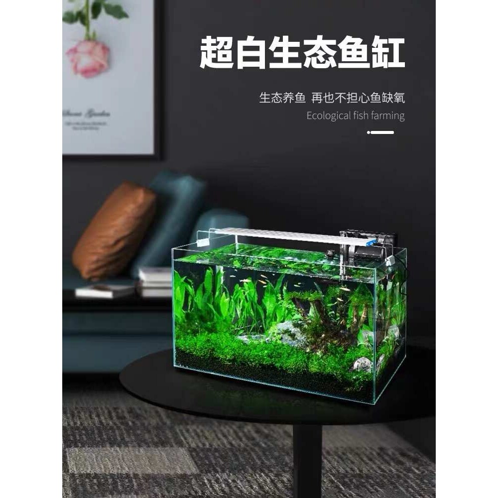 山东金晶五线超白玻璃客厅家用办公桌长方形金鱼缸乌龟缸生态造景