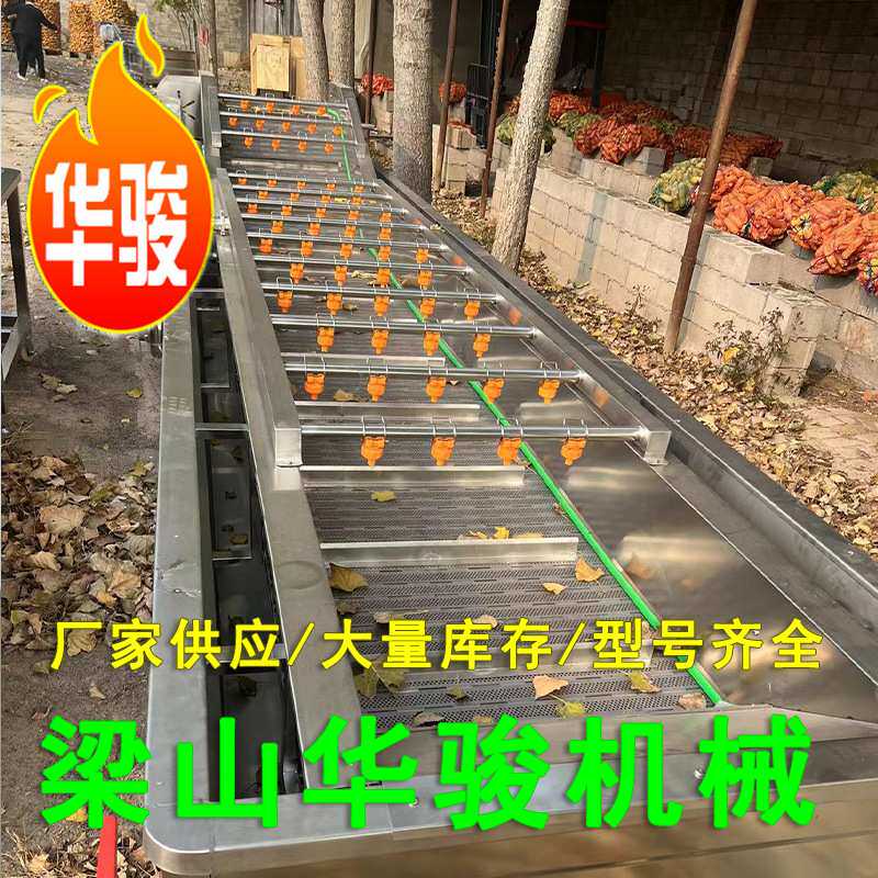 白菜油菜浸泡清洗加工设备 清洗加工机器
