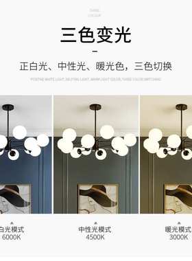 北欧客厅吊灯分子灯 设计师led餐厅吊灯金色创意魔豆吊灯