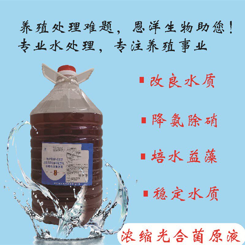 光合菌菌种调水j质ph值氨氮稳定水色光合菌培养基母液水产养殖