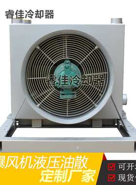 睿佳风冷散热器防爆风冷机液压油EXdIMb矿井防爆液压站冷却器
