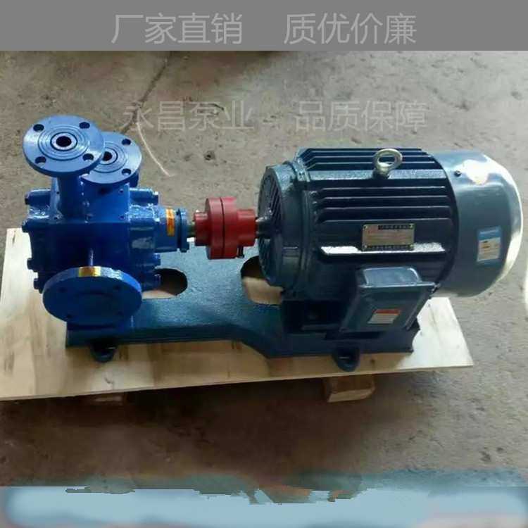 厂家 RCB-200沥青泵 沥青保温齿轮泵 高温沥青泵 夹套齿轮泵
