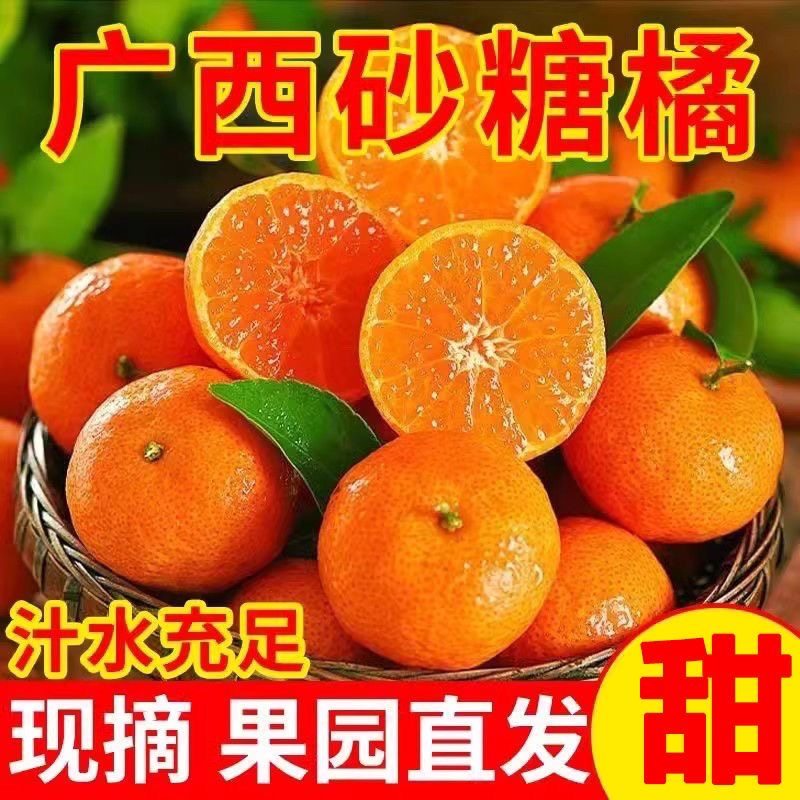 正宗广西砂糖橘沙糖桔应季新鲜水果柑密桔子纯甜多汁水非金秋金葵