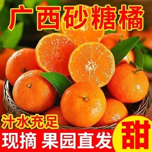 正宗广西砂糖橘沙糖桔应季新鲜水果柑密桔子纯甜多汁水非金秋金葵