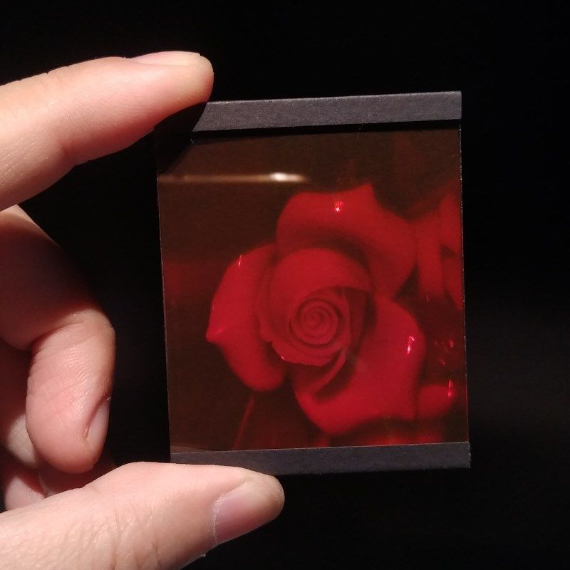 全息玫瑰3Df新奇创意礼物反射式全息工艺品摄影照片裸眼三维立体