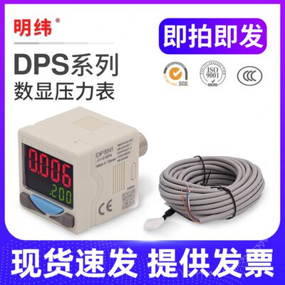 20压力开关SN1DP-数显1010DP-0式NSPN电子P1SPDP 表/系列0/NP20