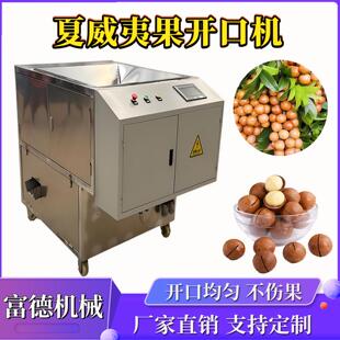 夏威夷果开口机小型全自动澳洲坚果环形切口机智能控制开缝切割机