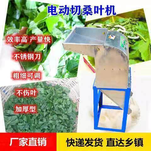 切桑机切桑叶机养蚕专用电动桑叶机桑叶切碎机粉碎机桑叶机器装配