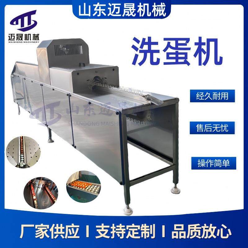 鹌鹑蛋鸭蛋清洗设备 毛刷鸡蛋鹅蛋清洗机大型喷油喷码保鲜洗蛋机