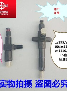 00 195常柴 喷油器总成0油 5111111 5 11头柴油机    总成 油011