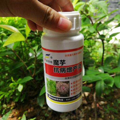 抗病增产灵 促根壮大专用球 魔芋根茎膨大喷施肥苗叶面肥茎膨 剂