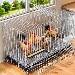 鸡笼子家用室外大号自动清粪养鸡笼鸭笼子室内小鸡鸽子笼子鸡窝笼