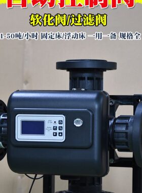 自动Y洁源/石英砂G阀50过滤器2克2-eva-eL包邮J活性炭Cl2T过滤l莱