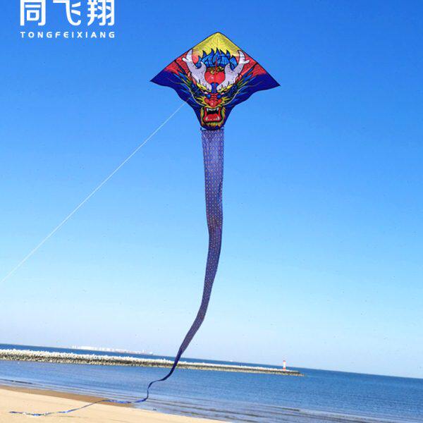 龙形大龙长龙风筝巨龙龙霸天下飞龙在天大型高档微风易飞大人专用