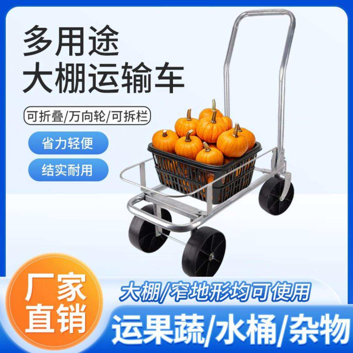 采摘大棚多用途农用瓜果蔬菜手推车便携式折叠工具车