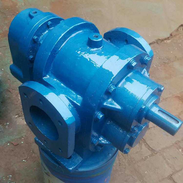 应LCW高粘度保温泵 涂料油漆凸轮转子泵 LCXW罗茨 保温泵齿轮泵