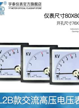 6L2B交流高压电压表3kv 6kv 10kv 12kv 40kv输入100v cp80 be80