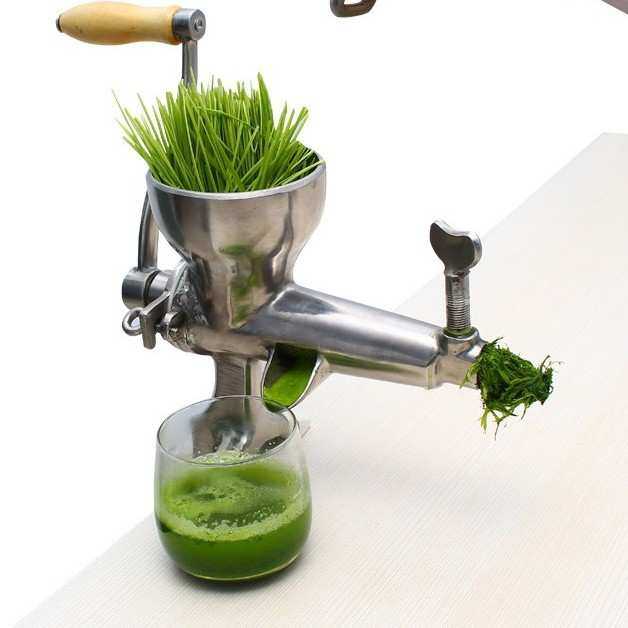 跨境304不锈钢榨汁机手摇压汁机小麦麦苗橙子蔬菜生姜石榴压汁机,鲜花速递/花卉仿真/绿植园艺,其它园艺用品,淘宝优惠券,粉丝福利购,淘宝优惠卷