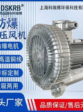 防爆型气体BT4防爆高压风机 漩涡式真空泵 4KW高压涡流风机FRB