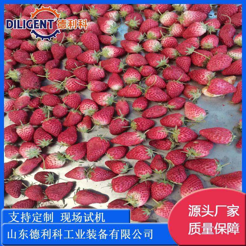 草莓丁真空闪蒸机草莓脆片真空压差膨化机全自动真空膨化机
