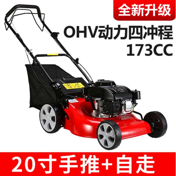 清理各种杂草草坪修剪车 自走式家用推草机 绿化带手推汽油打草机