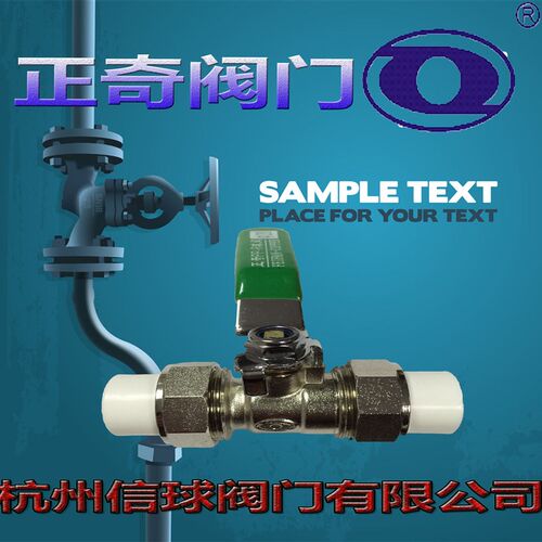 正奇 PPR双活接铜球阀 20 25 32 4分 6分 铜芯全铜阀门开关水管63