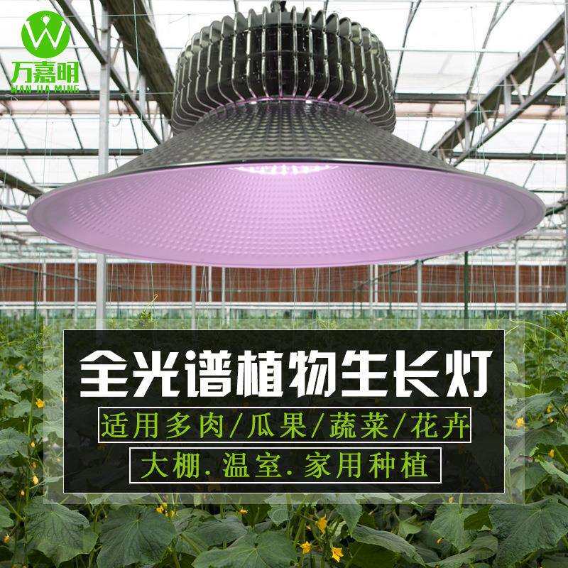 全光谱植物灯生长灯大棚种植温室工矿灯草莓火龙果绿植花卉补光灯