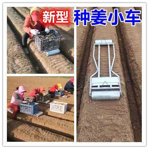 【严选】生姜老姜种植种姜神器开沟机器懒人凳全自动多功能运输车