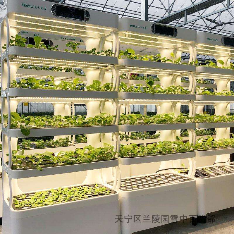 家用阳台智能有机蔬菜种植机无土栽培家庭种菜种花神器水培植物