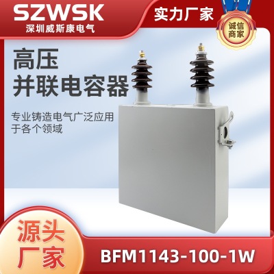 高压并联电容器BFM11√3-100-1W