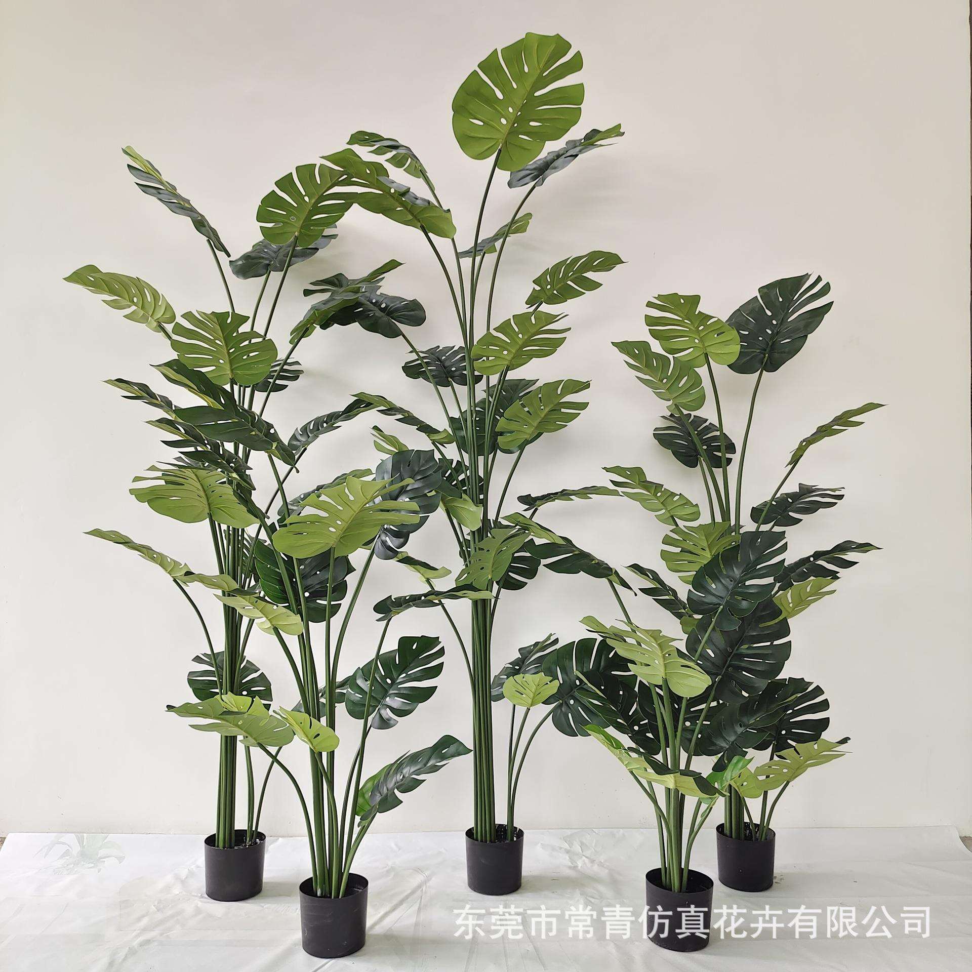常青仿真植物装饰北欧假绿植盆栽摆件仿真龟背树外贸款现货真