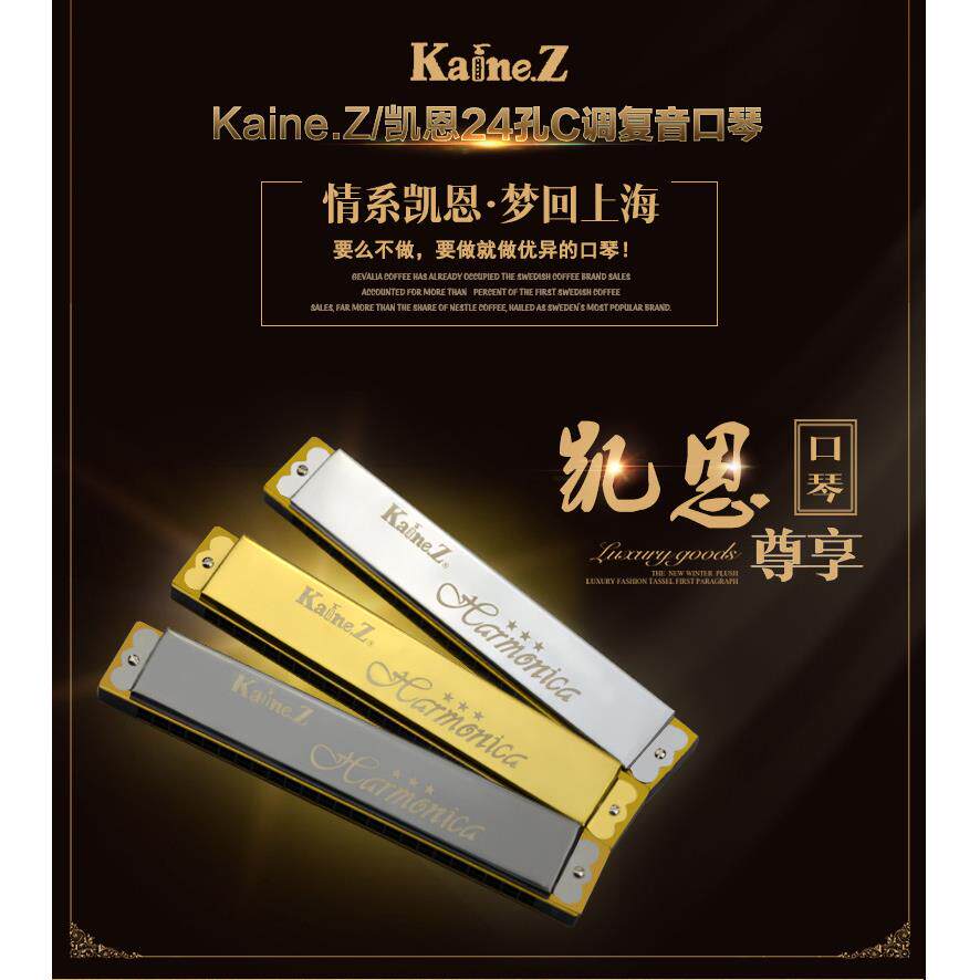 进口凯恩24孔复音口琴K2401初学者入门学演奏乐器
