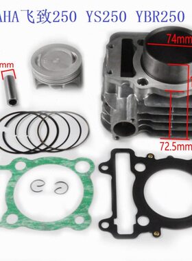 5 YBR     40B250250CG019250套 BF 015075J 121鑫源C缸