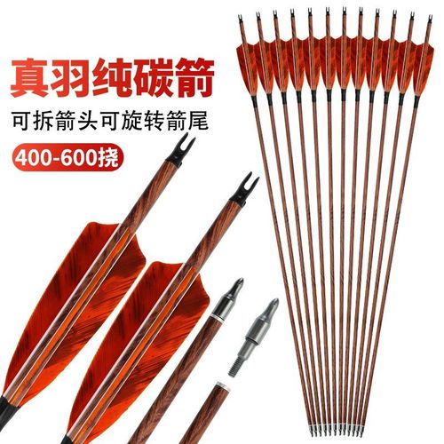 真羽箭支混碳纯碳传统木箭竹箭户外射箭箭头美猎弓配件专业玻纤箭