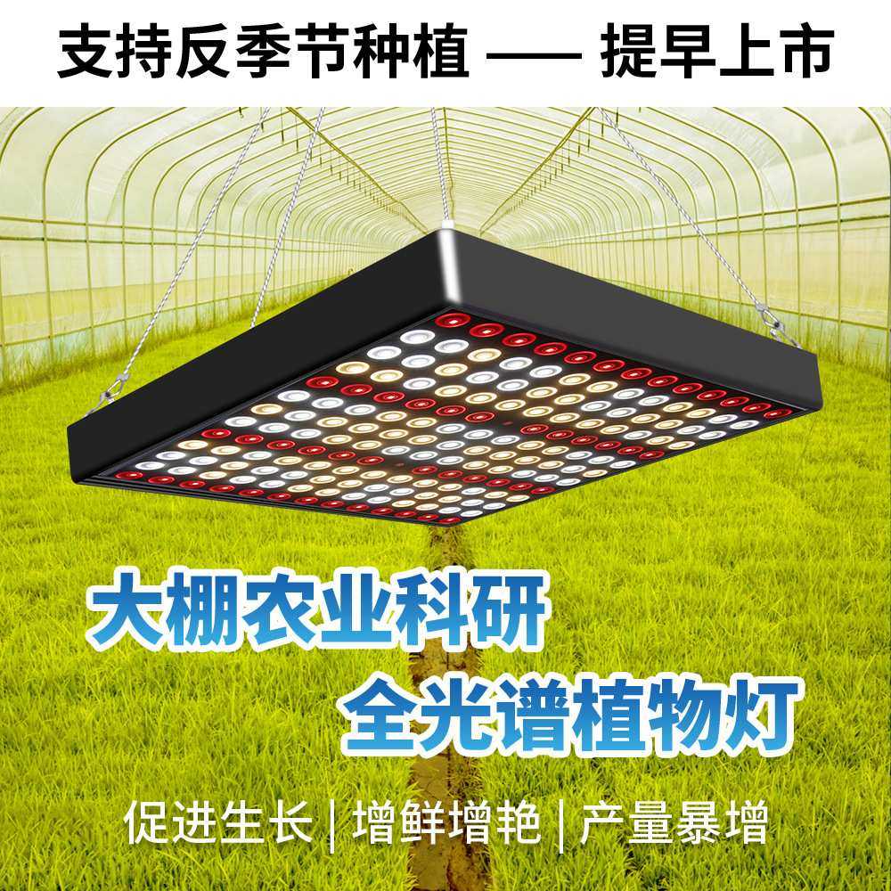 GROW LED LIGHT 大棚全光谱量子板植物补光灯超薄仿太阳光生长灯